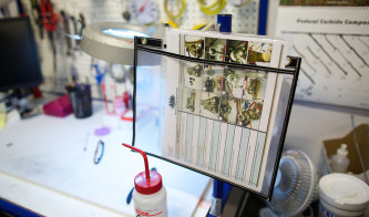 Developing Standard Work